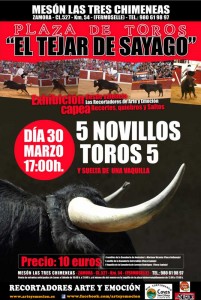 Arte y Emoción rendirá tributo a Goya