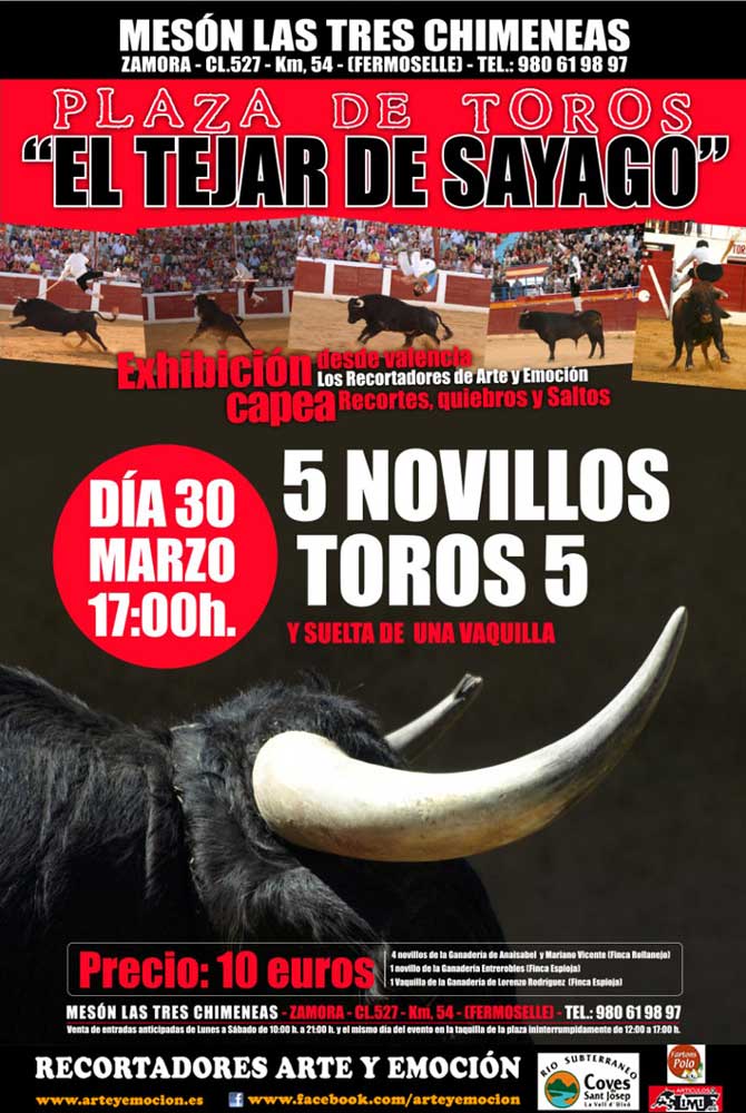 Arte y Emoción rendirá tributo a Goya en la apertura de la temporada 2013 en Formariz (Zamora)