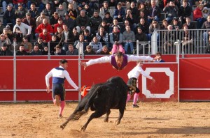 La Tauromaquia de Goya renace en Formariz