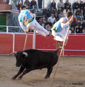 La Tauromaquia de Goya renace en Formariz