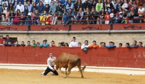 Arte y Emoción hace historia en el Toro Embolao de Los Barrios