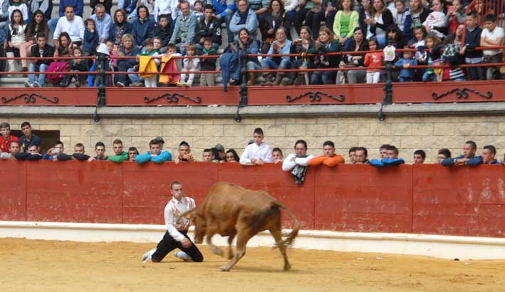 Arte y Emoción hace historia en el Toro Embolao de Los Barrios
